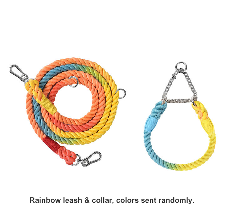 Braided Colorful Pet Dog Leash with P-Chain Collar for Medium and Large Dogs — image 7