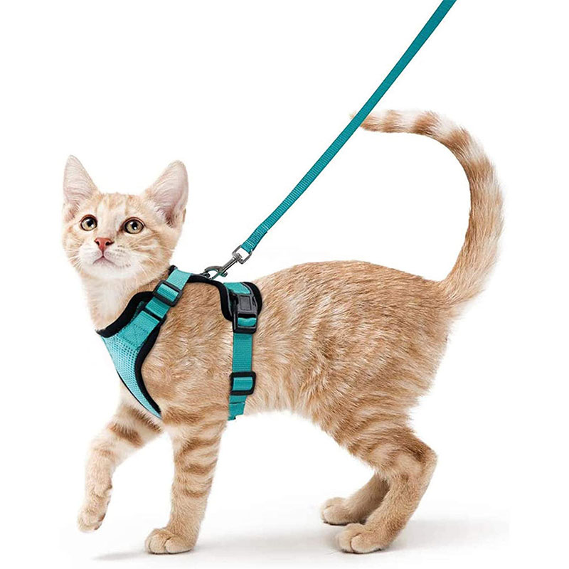 Arnes y Correa para Gatos con Control Fácil, Inescapable - Arnes de Vestido Suaves y Ajustables para Pasear a los Gatos — imagen 7
