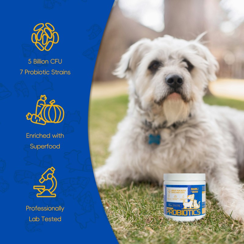 Probióticos para Perros y Gatos Bark & Meow - 7 Cepas Adaptadas, Prebióticos y Verduras Naturales - 5 Mil Billones CFU por Cucharada - Grado Humano, Libre de GMO, Aprobados por Veterinarios - Soporte Intestinal y Inmunológico — imagen 2