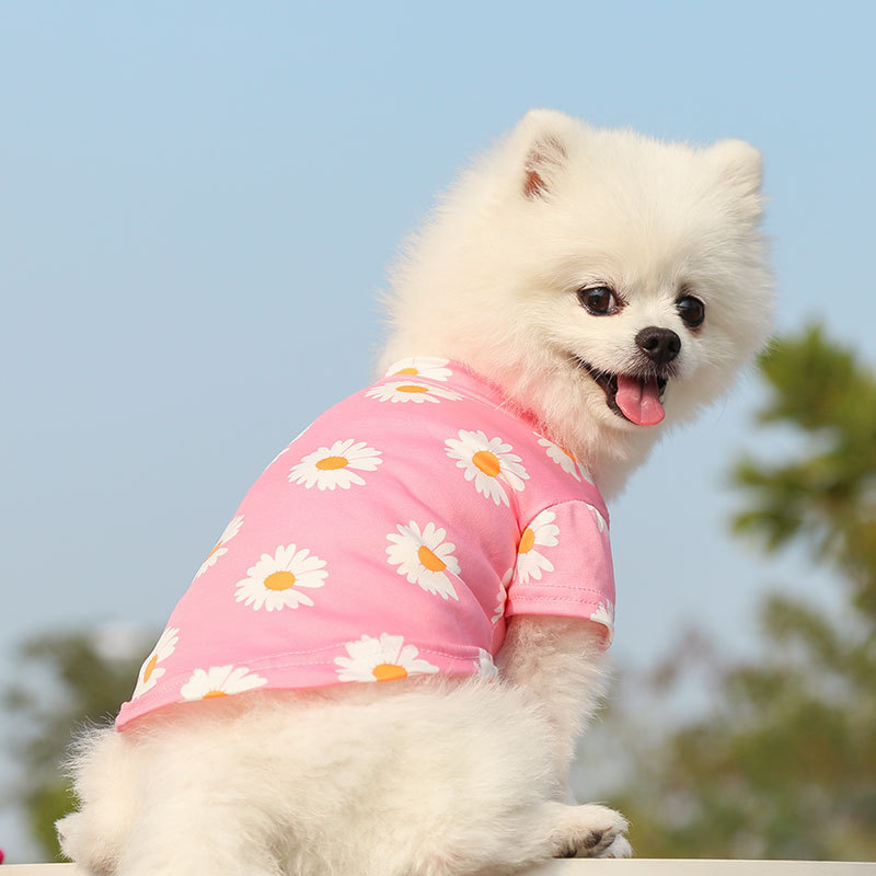 Ropa de Accesorio para Mascotas con Ducky Temática de Niños - Traje de Pájaro Amarillo para Perros y Gatos — imagen 4