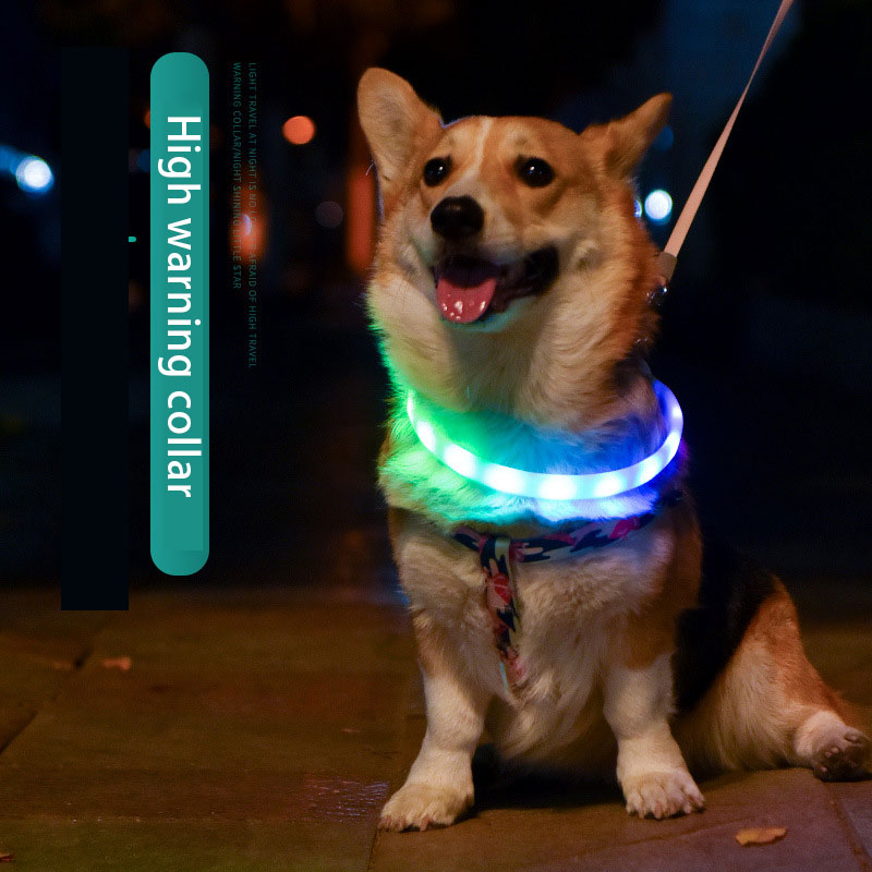 Collar Luminoso para Mascotas Collar de Mascota Carga USB DIY Collar de Perro Luminoso Collar de Cuello Seguro para Caminar con Perros — imagen 3