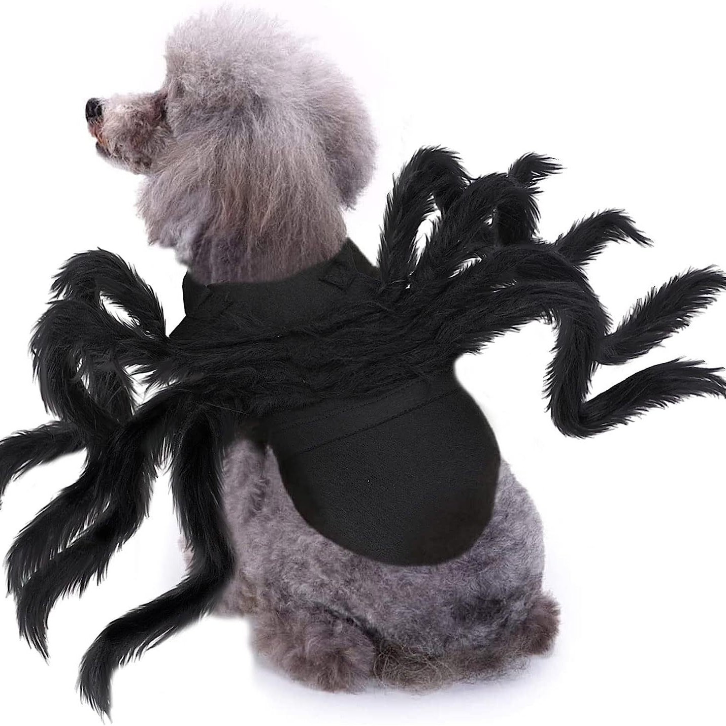 Halloween pet prop bat wings — image 9