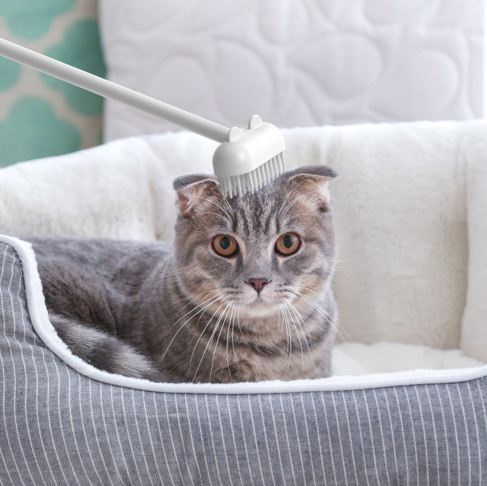New Cat Jerk Cat Brush Hair Scraper Hair Removal Scratching Massage Brush Cat Scuffing Brush Toy Pet Supplies — image 4