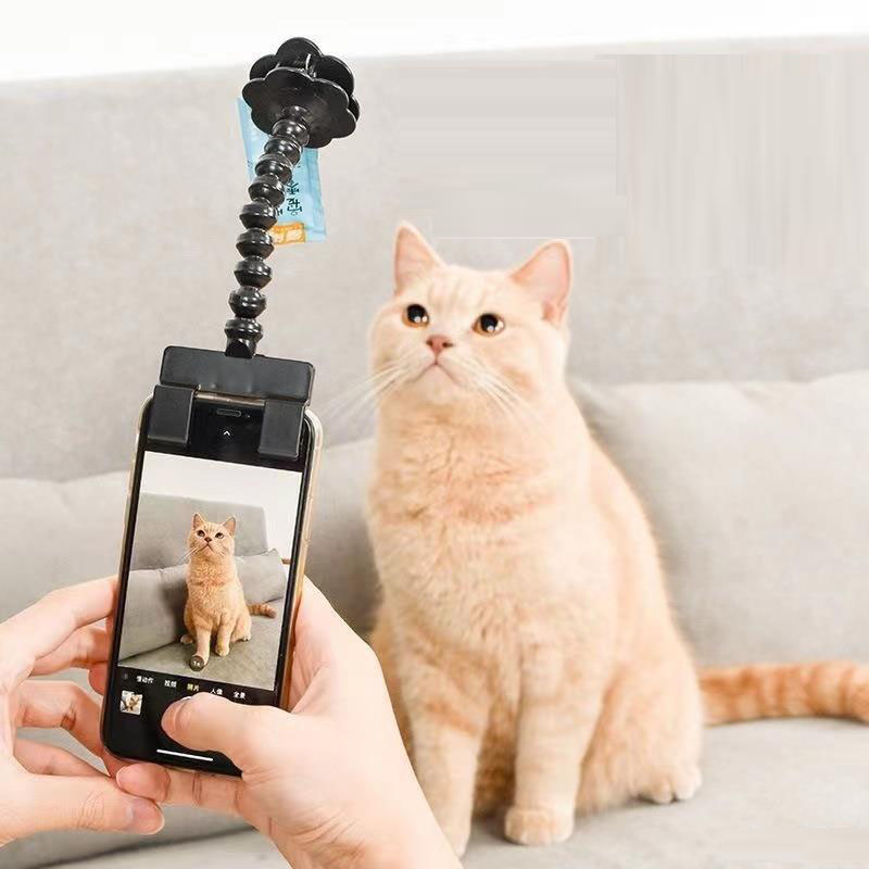 Pet Photography Teddy Camera Toy Phone Camera Stand Selfie Clip Supplies — image 1