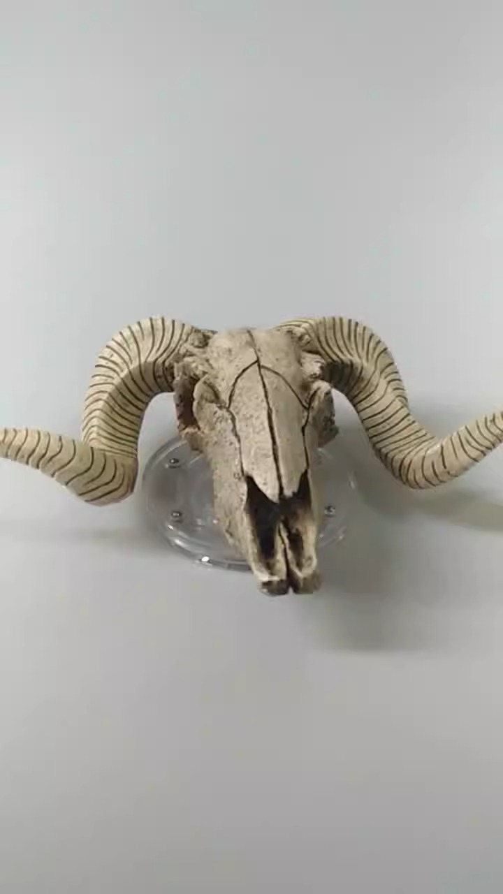 Sheep Horn Skeleton Wall Hanging Creative Home and Living Room Decoration Vintage Resin Crafts — image 7