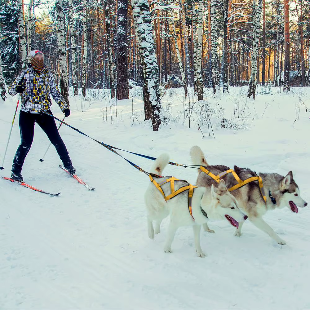 Dog Sled Harness Pet Weight Pulling Sledding Harness Mushing X Back Harness For Large Dogs Husky Canicross Skijoring Scootering — image 4