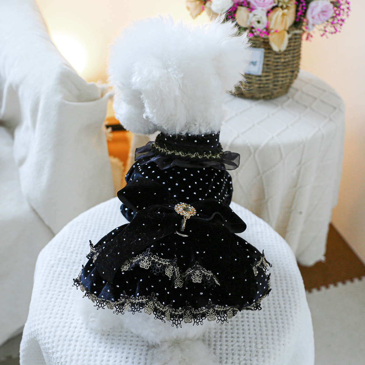 Pet Clothes Spring Autumn Small Dog Puppy Dark Black Festival Party Atmosphere Black Gold Dress Skirt — image 2