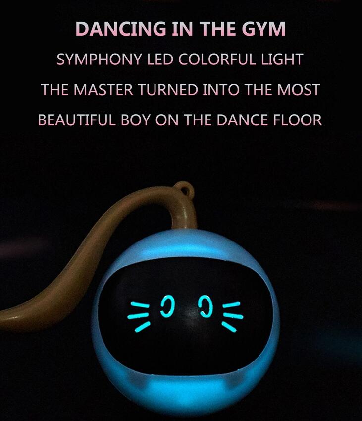 Fofos Two Lucky Raccoon Magic Ball Cat Toy Electric Intelligent Automatic Funny Cat Ball Relieve Boredom And Bite Led Light — image 6