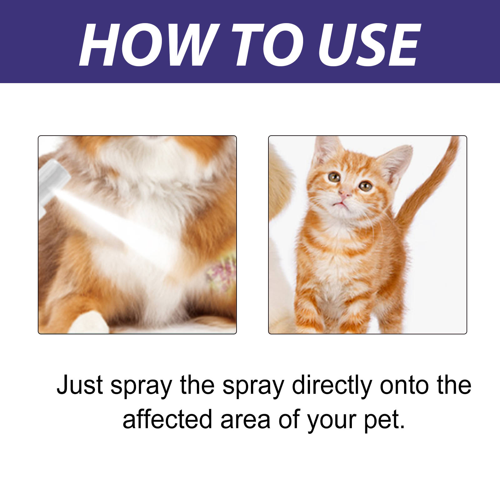 Pet Care Spray, Pet Cat And Dog Skin Wound Care Skin Moss Itchy Repair Spray — image 8