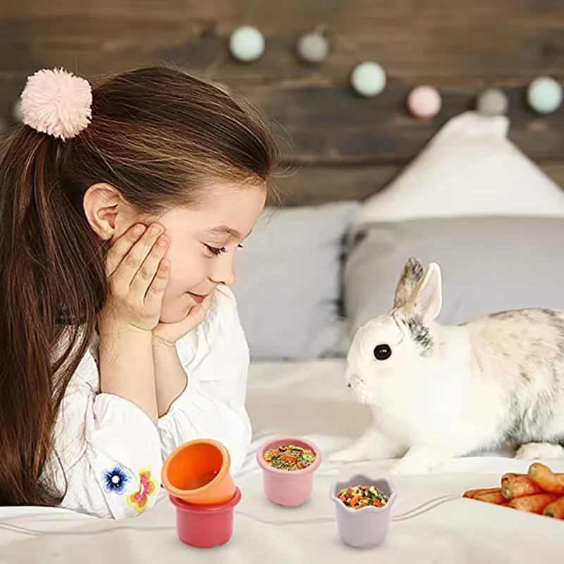 Cupas de Color Multifacéticas para Jugar y Esconder Alimento para Conejos/Chinchillas/Conejillos de Indias Reutilizables Juguetes Seguros para Pequeños Animales — imagen 4
