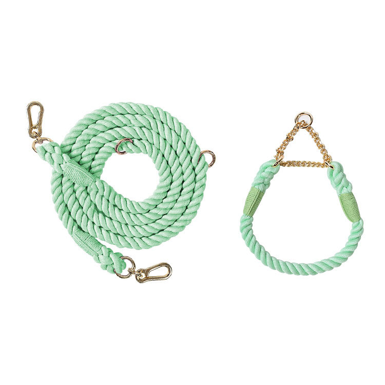 Braided Colorful Pet Dog Leash with P-Chain Collar for Medium and Large Dogs — image 10