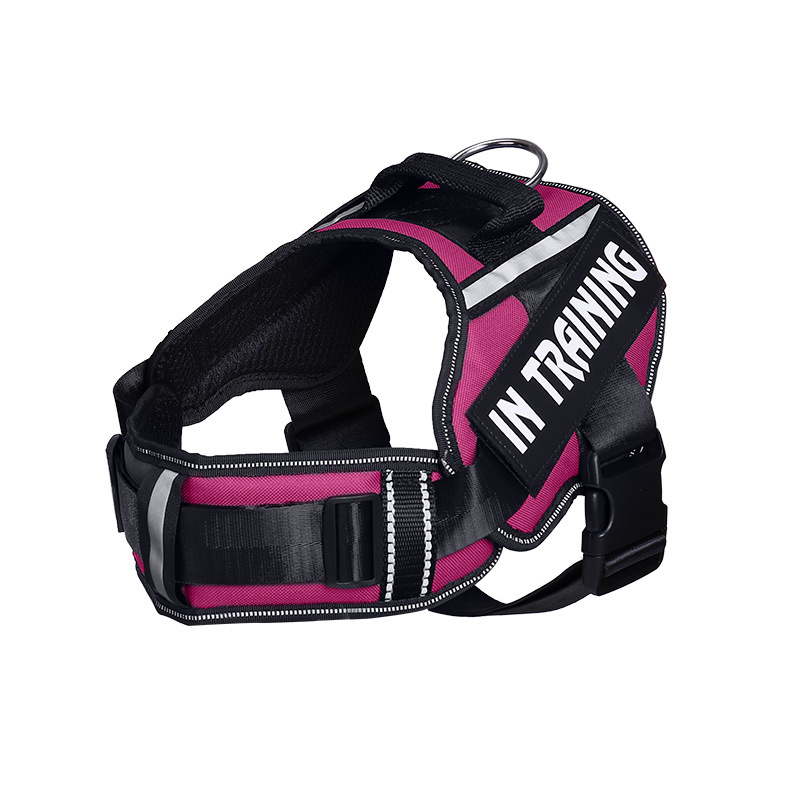 Neck Support Dog Harness with Reflective Pet Chest Harness and Leash, Direct Factory Supply Dog Lead and Pet Leash — image 10
