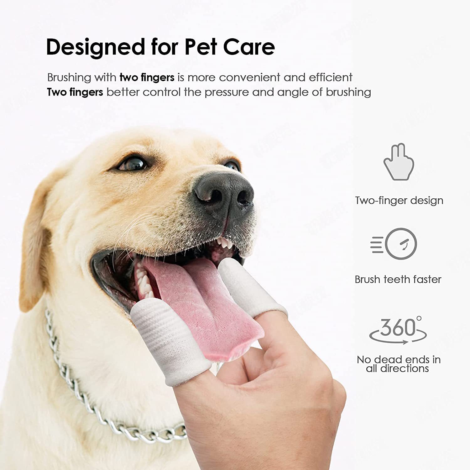 Cepillo Dental para Pájaros y Mascotas Cuidado Oral Herramienta de Higiene Canina y Felina Pequeño Cepillo Dental para Gatos — imagen 3