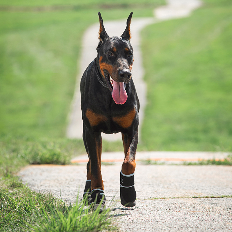 Zapatillas deportivas para mascotas - Botas impermeables al aire libre con tirantes anti-deslizamiento y reflejos — imagen 4