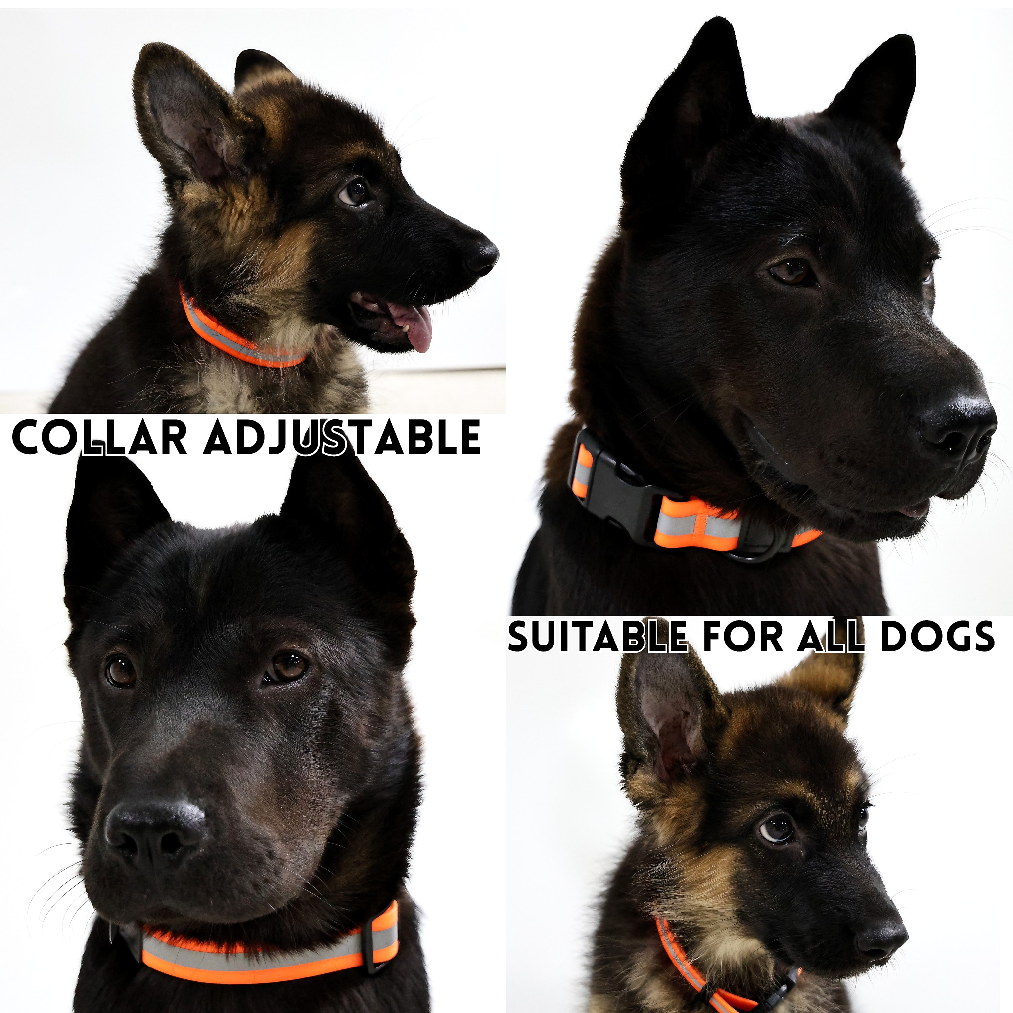 Set de Correa Refleja: Protege la Seguridad de tus Mascotas en Salidas Nocturnas con Efectividad — imagen 2
