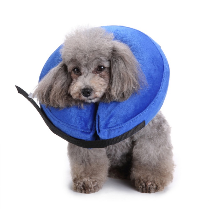 Protector Inflable para Perros y Gatos - Cono de Curación de Heridas - Collar Suave con Zipper - Suministros Veterinarios para Mordeduras - PVC Resistente al Mordisco — imagen 1
