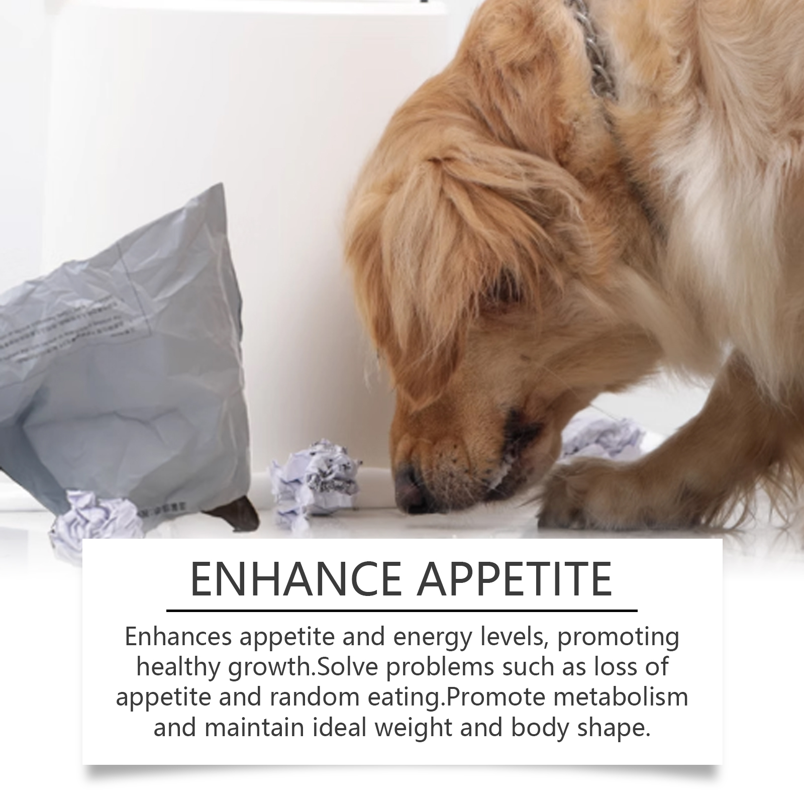 Yegbong Minerals For Dogs, Support Nerves And Promote Overall Health With Calcium And Magnesium Supplements — image 4