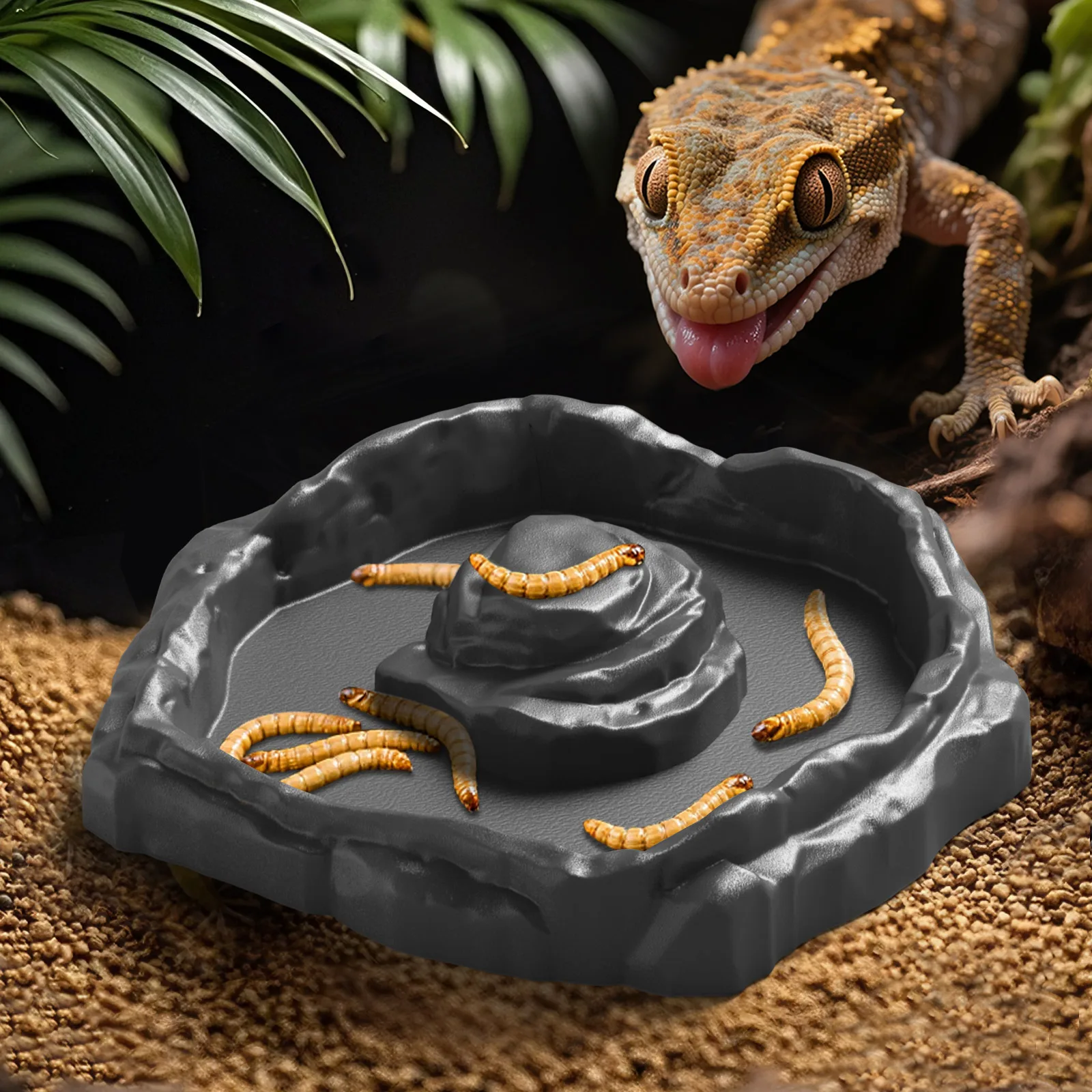 Basín de alimentación tropical para reptiles, baño para ranas, ideal para lagartos, gecos, serpientes, tortugas, anfibios — imagen 1