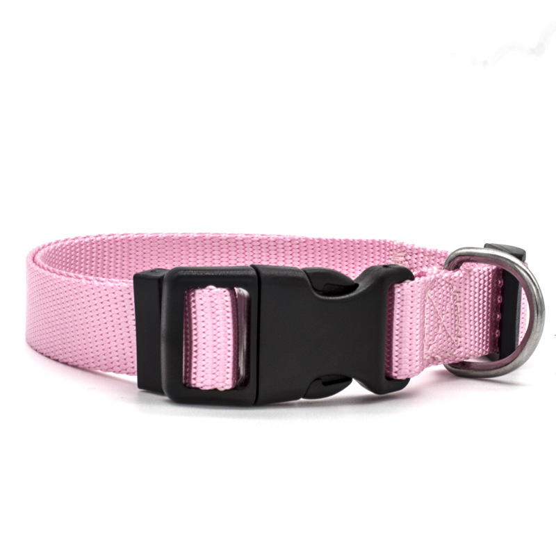 New Pet Collar — image 2
