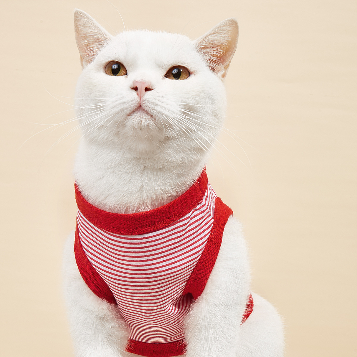 Summer New Dog Clothes Pet Clothing Striped Round Neck T-Shirt Small And Medium Dog Pomeranian Teddy Thin Section — image 7