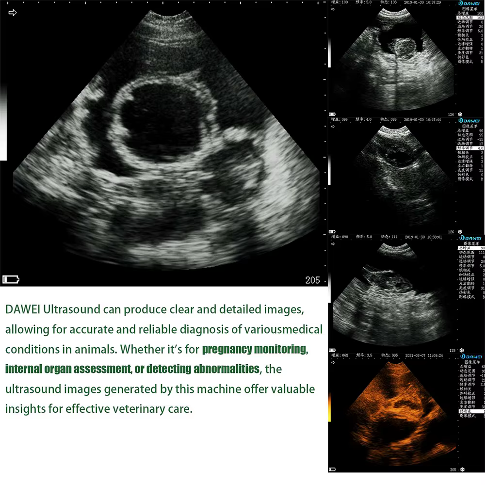 Portable Veterinary Ultrasound Scanner for Pregnancy Vet B-Ultra Machine with 3.5MHz Rectal Probe for Cows Horses Camels Animals — image 5