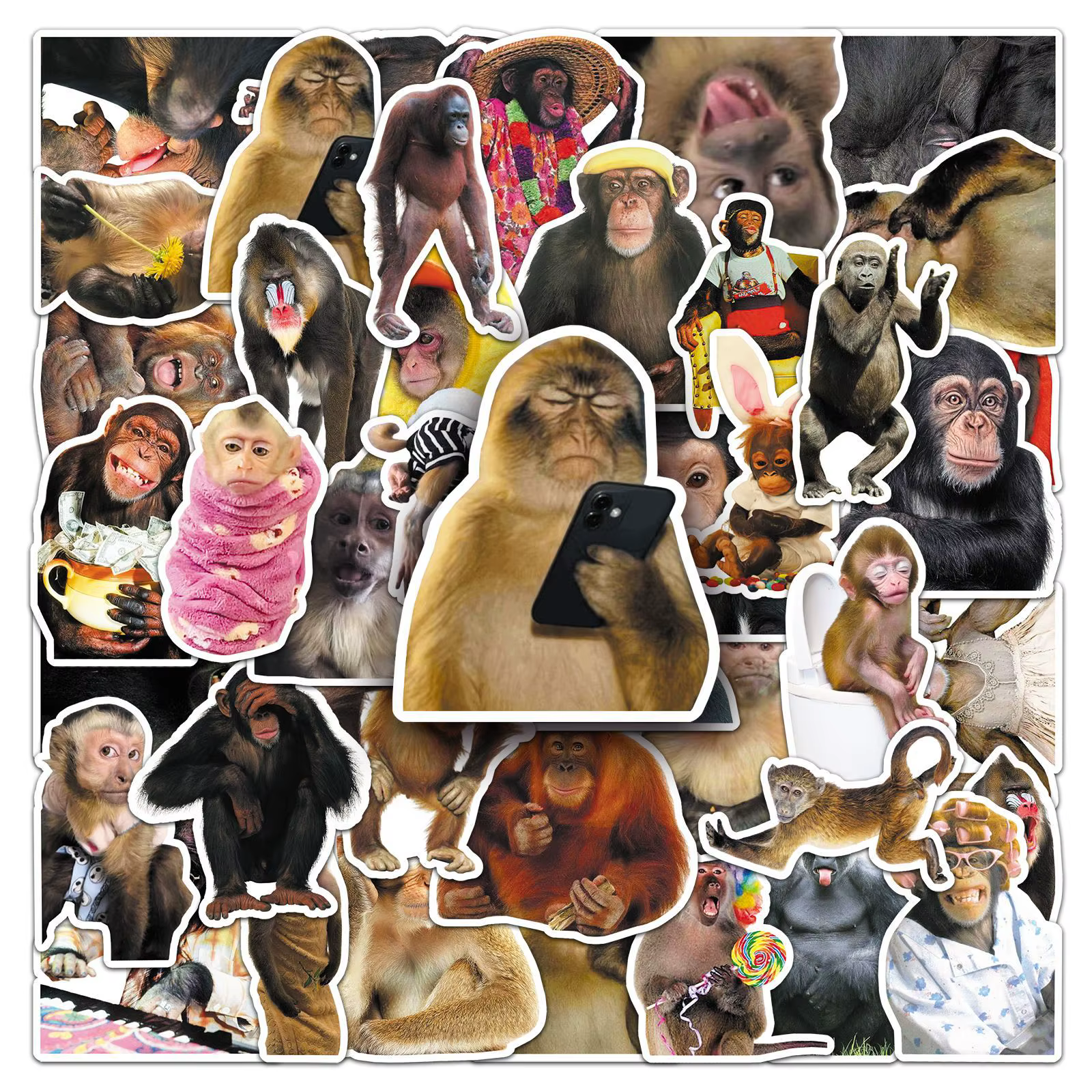 50PCS Funny Monkey Chimpanzees Meme Stickers Realistic Graffiti Decoration DIY Notebook Suitcase Guitar Refrigerator Toys Decals — image 5