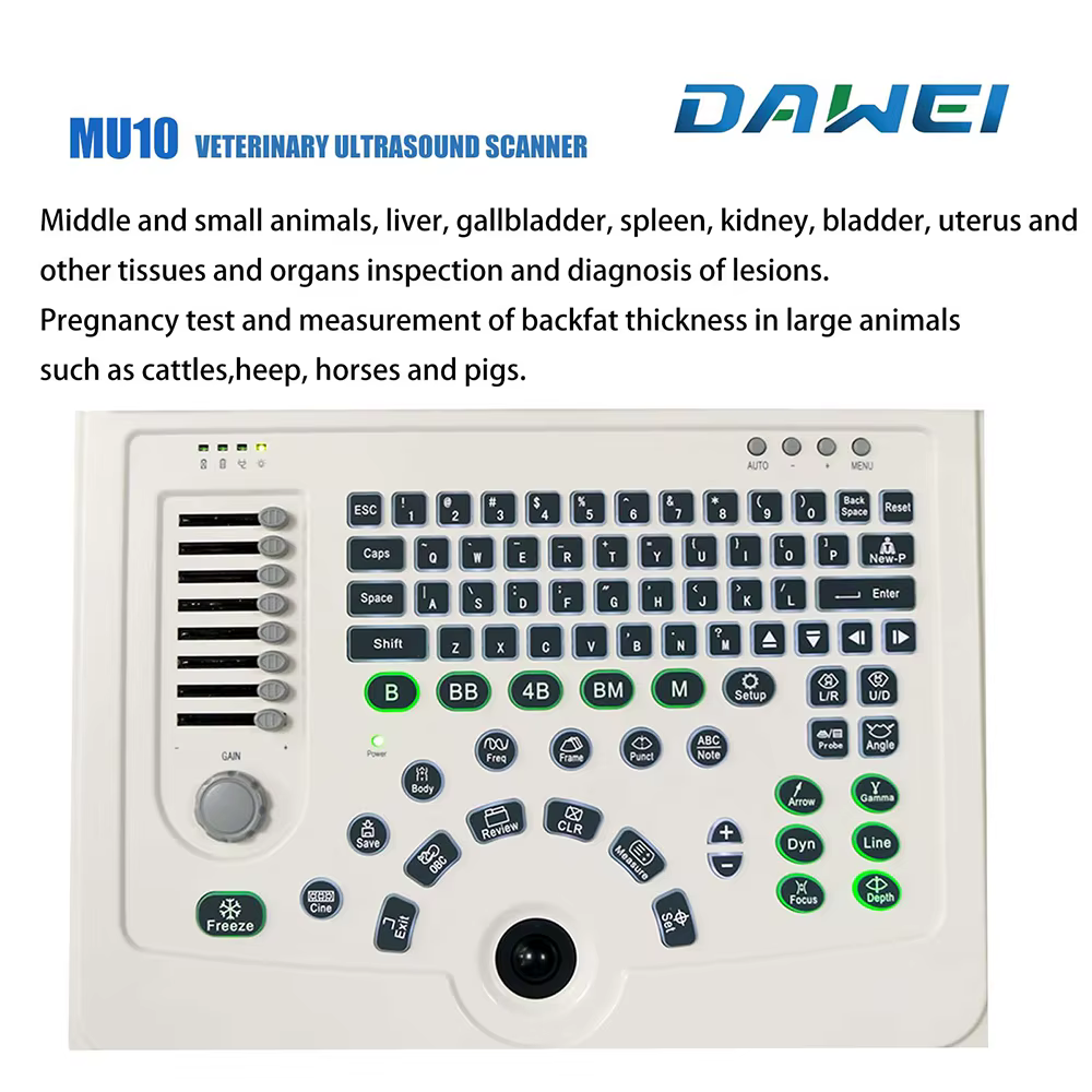 Portable Veterinary Ultrasound Scanner, Laptop Vet Pregnancy B-Ultra Machine, for Animal Farm Home Pet (B, B+B, 4B, B+M, M) — image 4