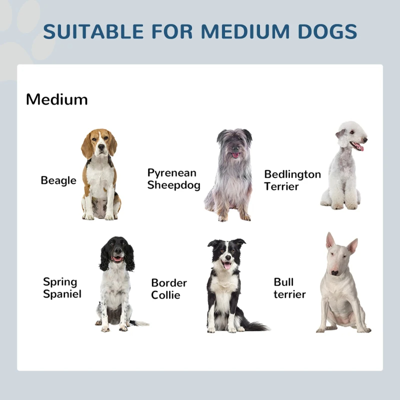 Double Stainless Steel Heavy Duty Dog Food Bowl Elevated Pet Feeding Station — imagen 8