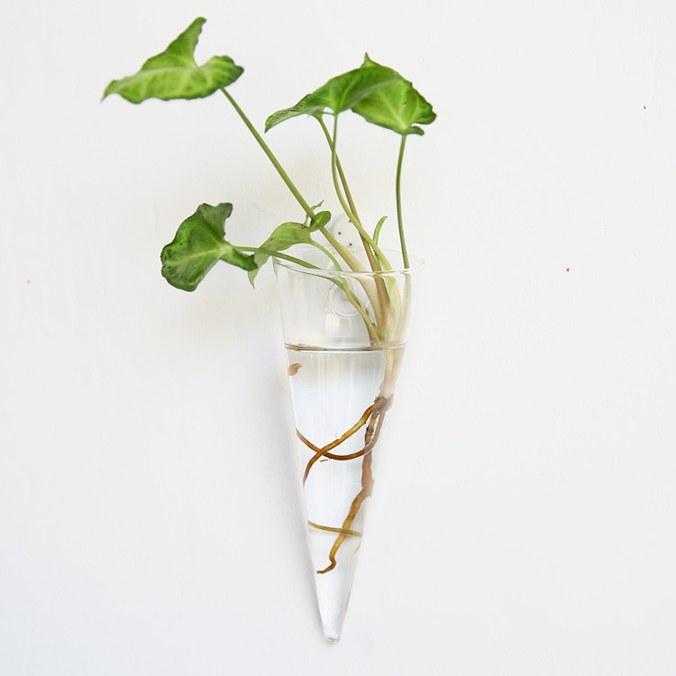 Vaso de Vidrio para Terrario Decorativo en Línea - Jardín Acuático para Hogar — imagen 28