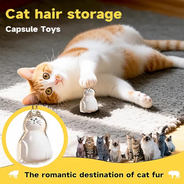Conjunto de Pendientes de Memoria de Pelo de Gato 6 Piezas - Recuerdo de Mascota - Pendiente de Cápsula Suave, Llave Portátil — imagen 5