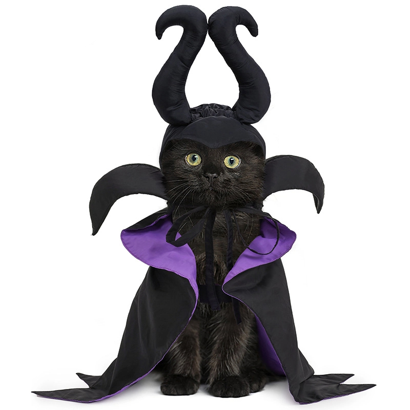 Halloween Dog Cloak with Hat Sleeping Curse Female Cloak Cat Hat Pet Clothing — image 1