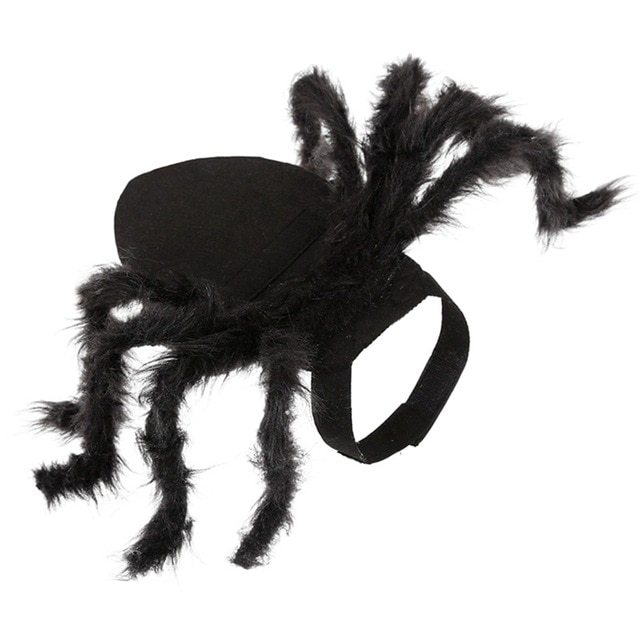 Ropa de Araña para Mascotas: Disfraz de Halloween para Perros y Gatos con Pelo Largo Negro — imagen 7