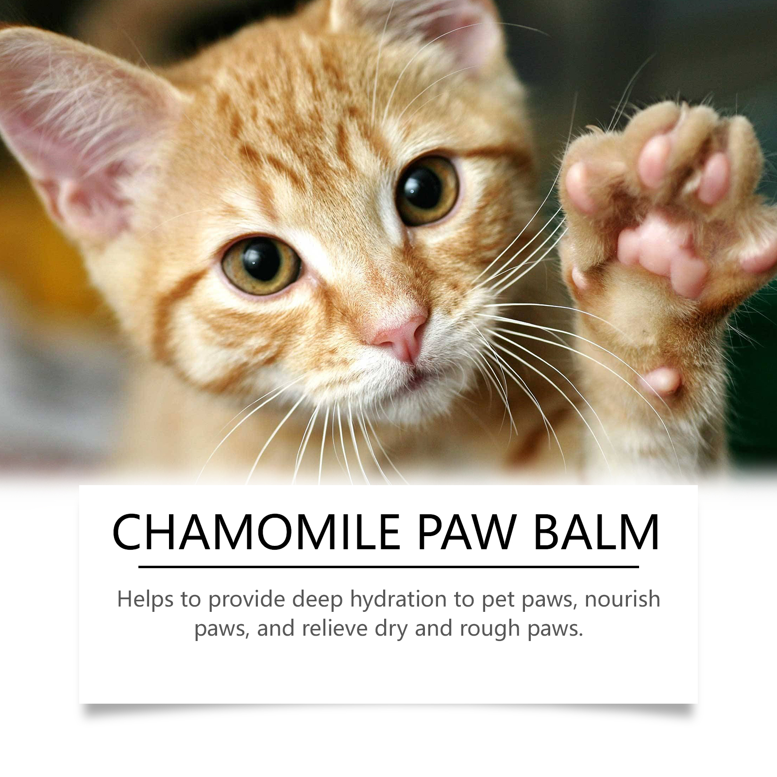 Yegbong Claw Care Cream For Dogs And Cats, Gentle Moisturizing And Softening Foot Pad, Pet Claw Care Cream — image 5