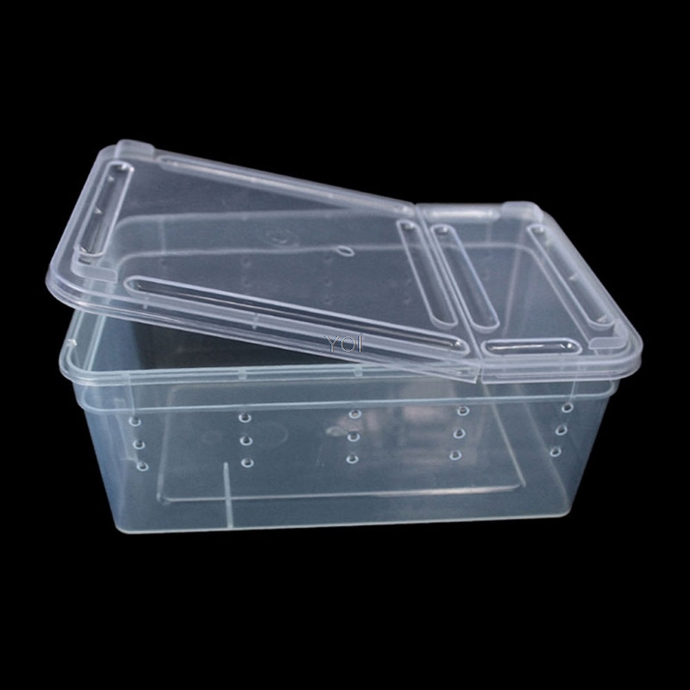 Caja de alimentación transparente para réptiles en plástico — imagen 1
