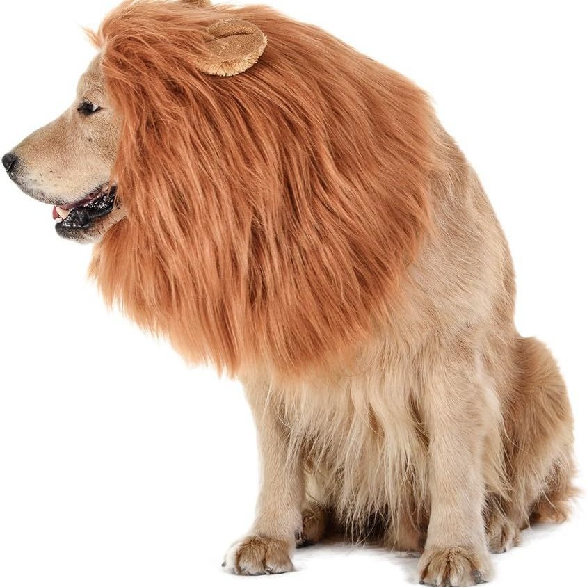 Fun Lion Head Mask with Ears for Pets - Animal Transformation Costume — image 1