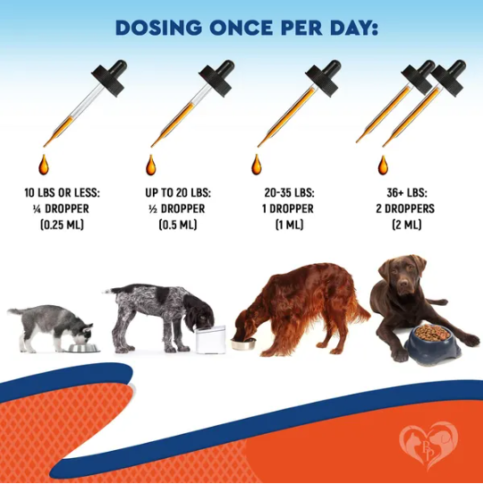 Tratamiento Natural para Infecciones de Levaduras en Perros - Alivio de Picazón y Alergias, Reducción de Inflamación — imagen 5