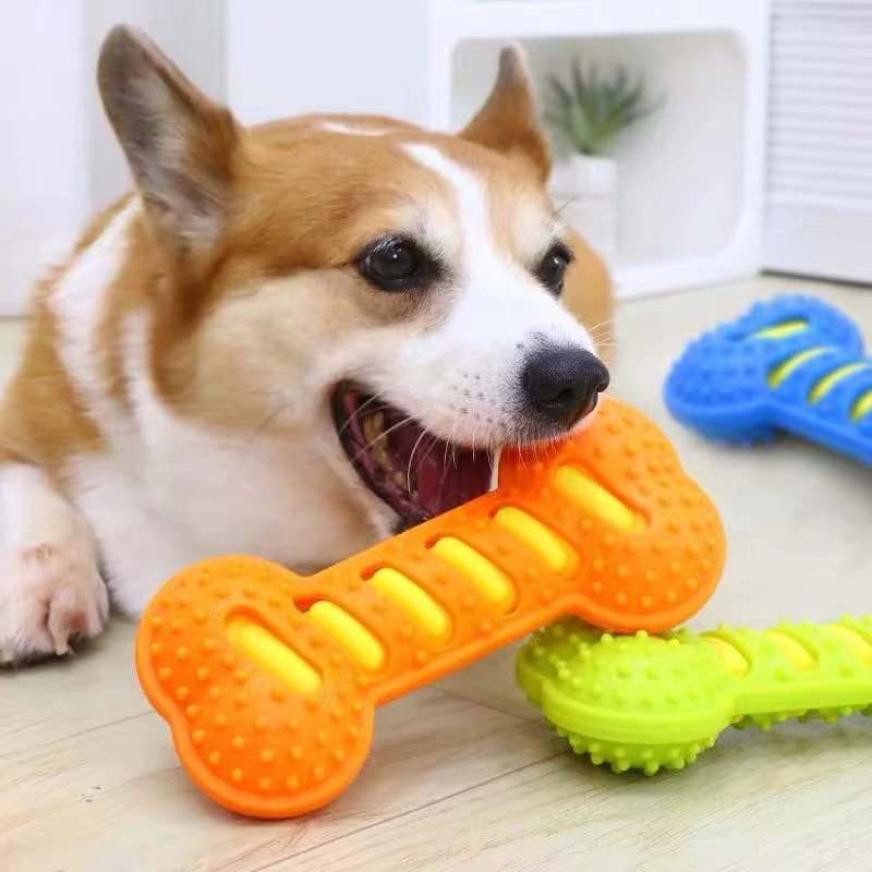 Pet Dog Chew Toys Rubber Bone Toy Bite Resistant Puppy Interactive Stick Puppy Chewing Toy Squeaky Interactive Dog Toys — image 5