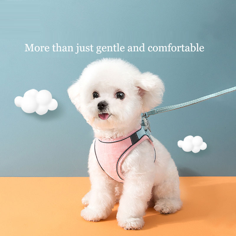 Pet leash vest style cat universal chest strap dog chain dog supplies for walking cats and dogs rope — image 1