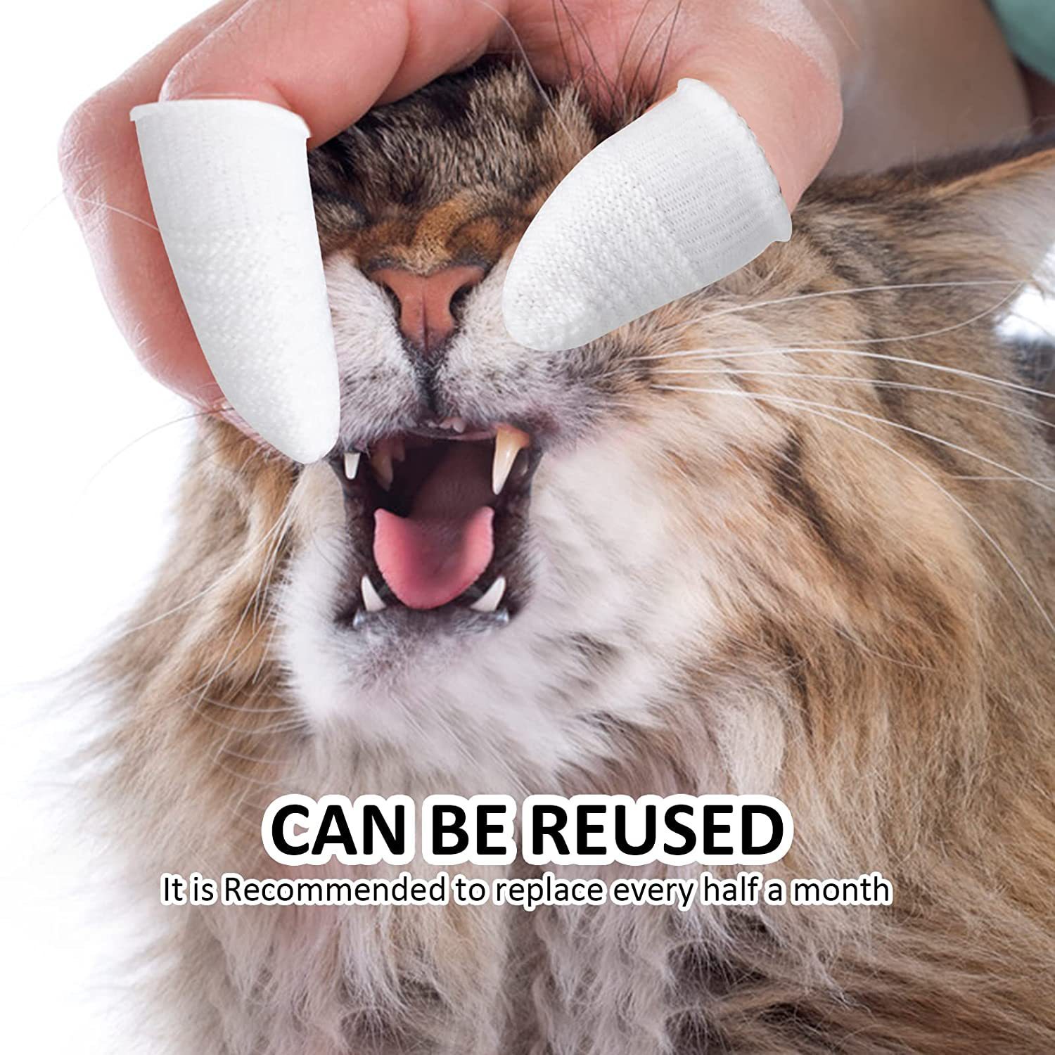 Cepillo Dental para Pájaros y Mascotas Cuidado Oral Herramienta de Higiene Canina y Felina Pequeño Cepillo Dental para Gatos — imagen 2