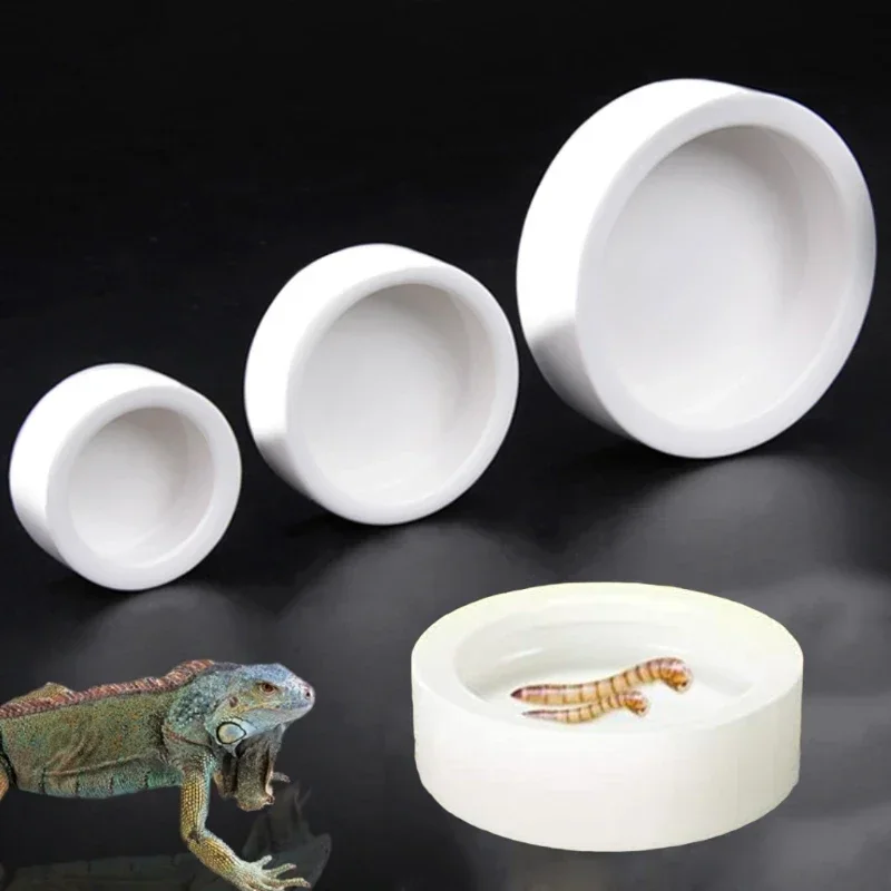 Comida para Reptiles Plato Cerámico Anti-Evasión para Cangrejos de Tierra, Geckos Leopardo, Camaleones, Serpientes de Corn y más Y5GB
