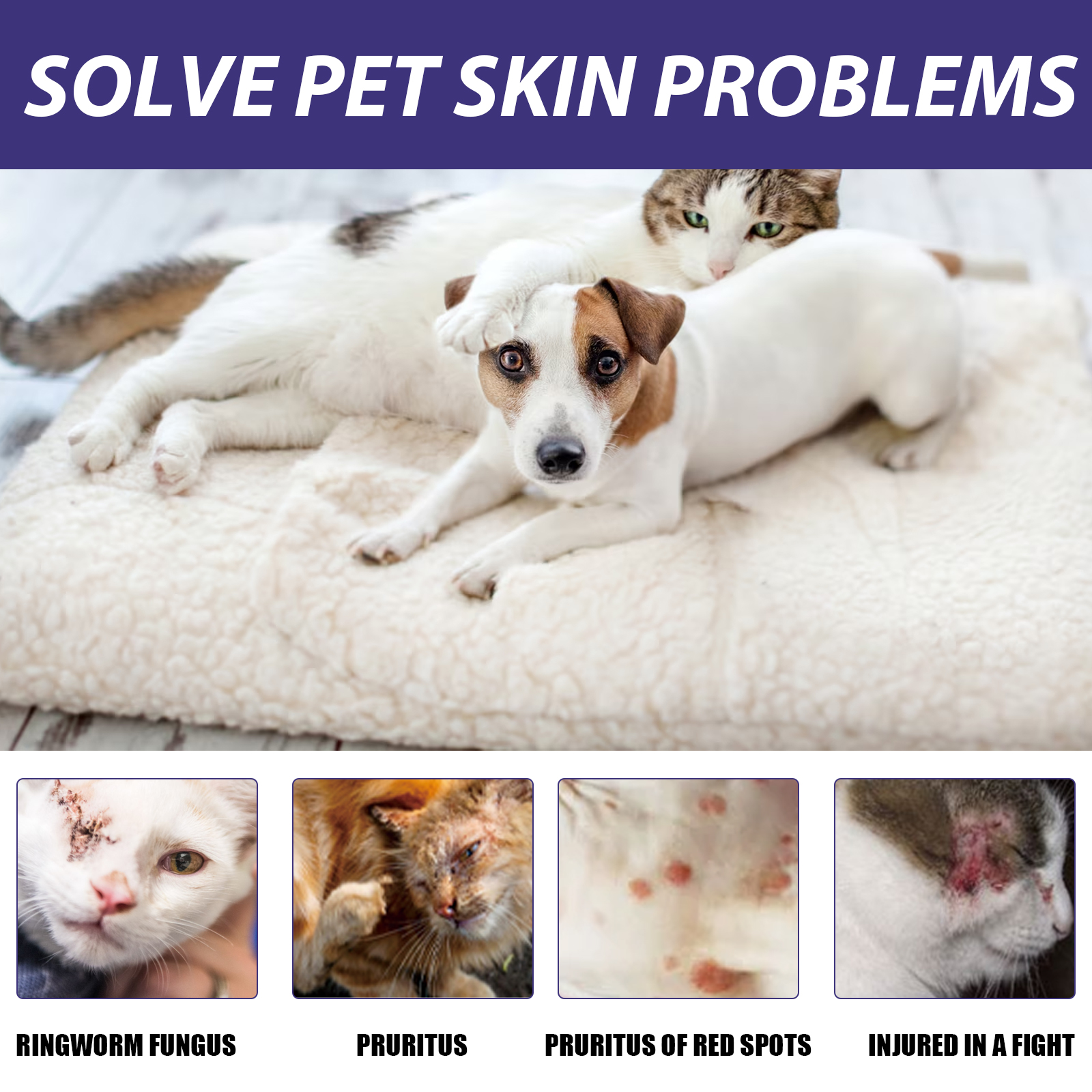 Pet Care Spray, Pet Cat And Dog Skin Wound Care Skin Moss Itchy Repair Spray — image 5