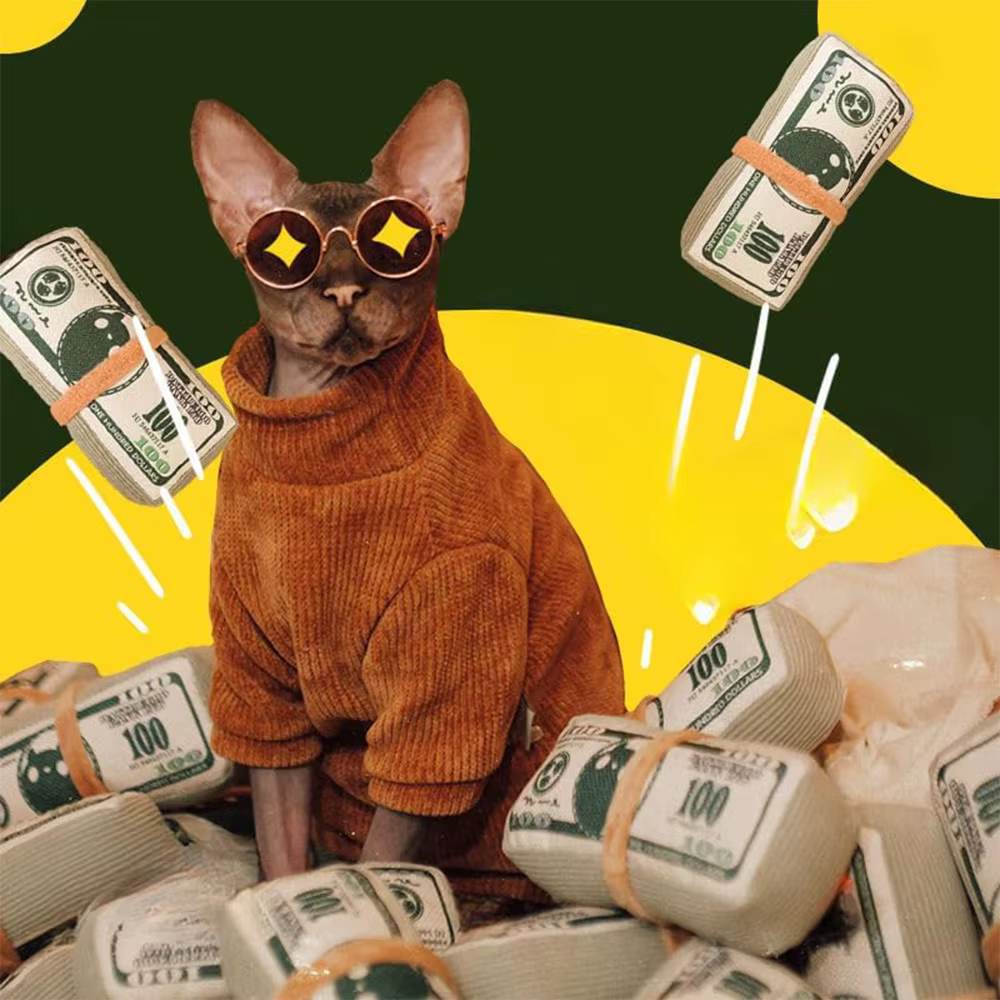 Juguetes de Dinero para Perros Forma de Billetes Resistente a Mordiscos Indestructibles Sonido Interactivo Autoentretenimiento para Cachorros Gatos y Mascotas Entrenamiento — imagen 5