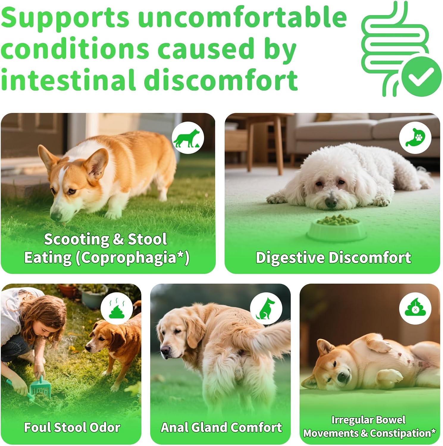 Probióticos y Enzimas Digestivas para Perros - Chucherías de Fibra de Calabaza para Salud Intestinal, Alivio de Constipación, Estreñimiento y Dispepsia, Soporte de Gas y Heces, Sabor a Pollo, 90 Piezas — imagen 5