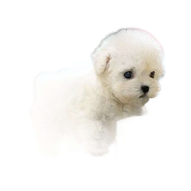 Perro Robot Plush de Tamaño Reducido — imagen 2