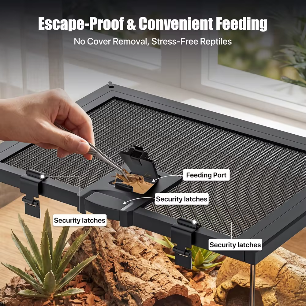 Reptile Terrariums Glass Landscaping Ecological Tank Amphibious Habitat Breeding Lizard Box Turtle Transparent Display Tanks — image 4