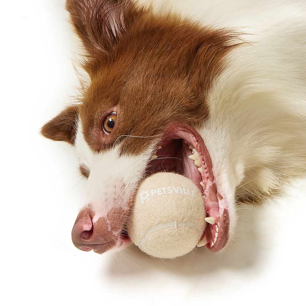 Juguetes Interactivos de Tenis para Perros al Aire Libre — imagen 1