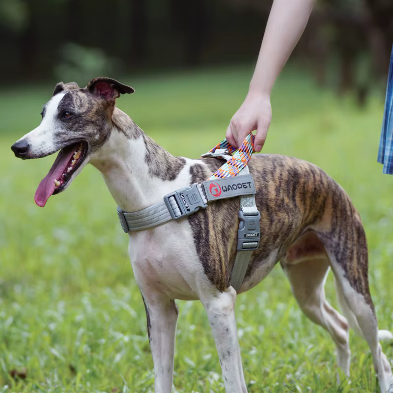 Walking Dog Harnesses For Heavy Medium Large Dogs Creative Design Flat Rope Durable Nylon Dog Rope No Pull Harness Pet Supplies — image 3
