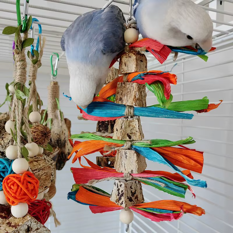 Bird Toys Colorful Hanging Chew Parrot Toys Parakeet Puzzle Training Relief Bite String Cage Decorative Bird Accessories — image 1
