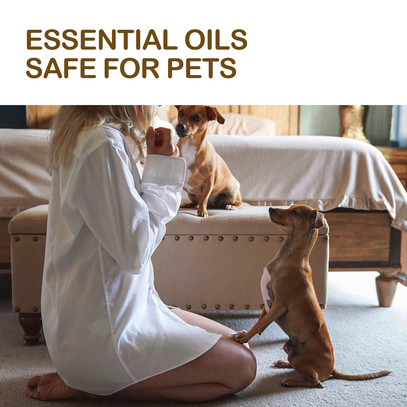 Aceite de Cuidado Canino con Menta de Limón y Ácidos Grasos Omega para Alivio Articular y Muscular en Perros — imagen 4