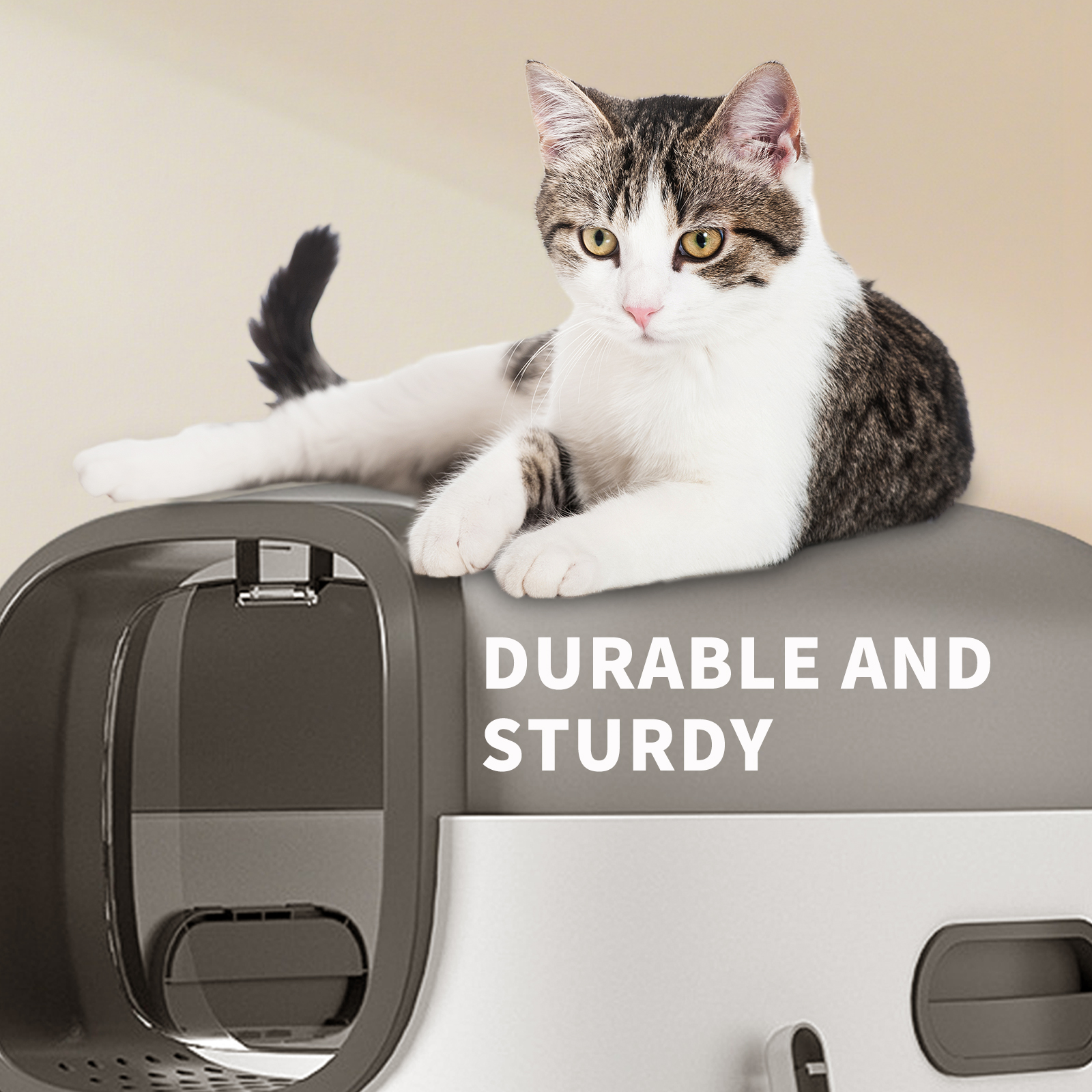 Solo Recogida en Tienda - Caja de Arena para Gatos E-model — imagen 20